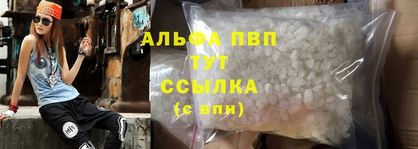 гашик Козловка