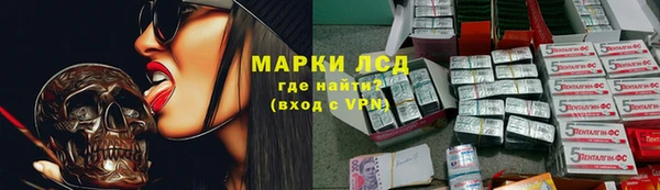 гашик Козловка