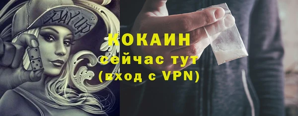 гашик Козловка