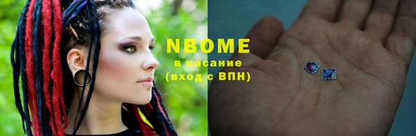 гашик Козловка