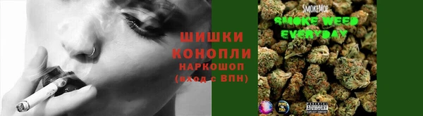 гидропоника Краснослободск