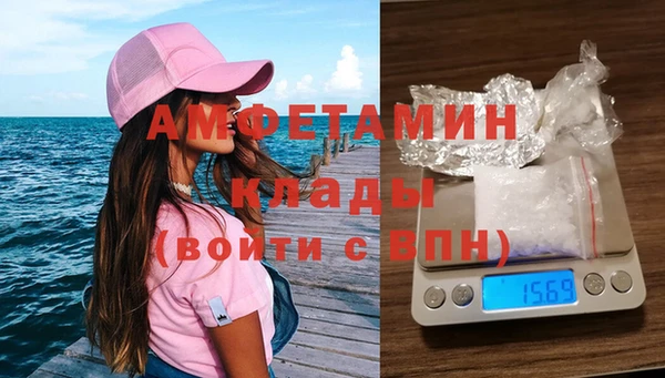 гашик Козловка