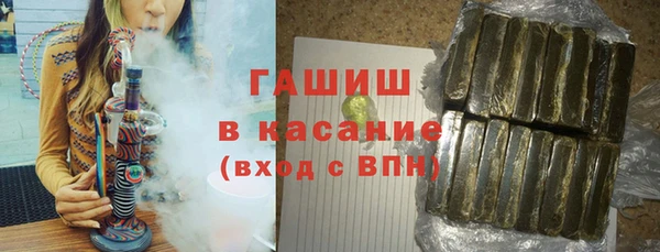 гашик Козловка