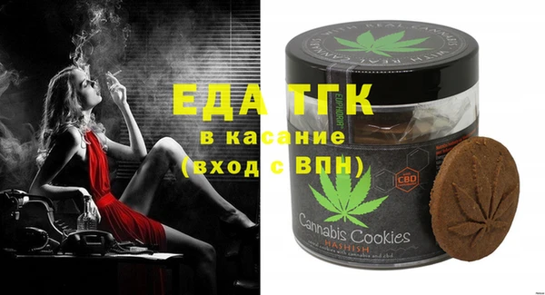 гашик Козловка