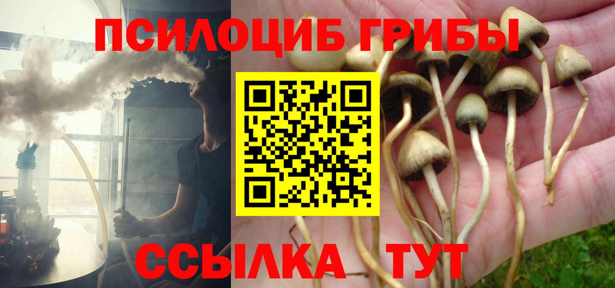 Псилоцибиновые грибы мицелий  Галлюциногенные грибы Psilocybine cubensis  хочу   Вход с VPN  Коряжма 
